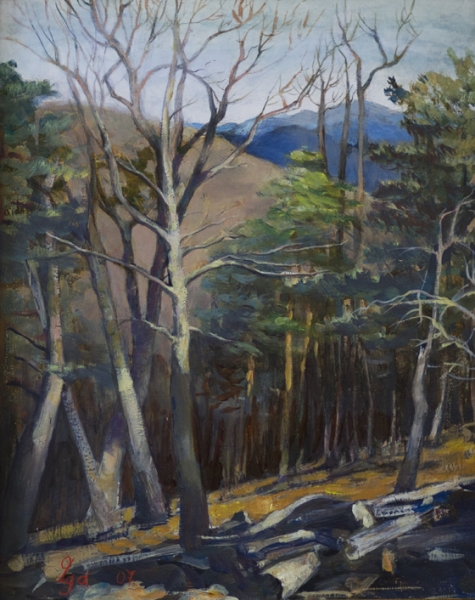 StoreGal/store/Oil/West Virginia 16x20.jpg